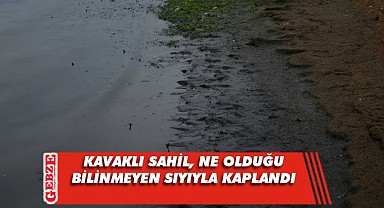 Hayvan pisliği bırakılan sahil simsiyah oldu!