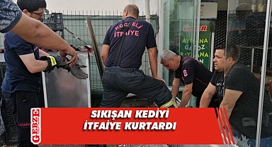 İki bina arasında mahsur kalan yavru kedi kurtarıldı