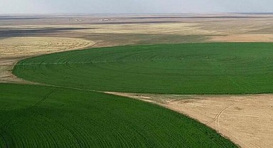 Kartepe'de 5 bin 964 metrekare tarla icradan satılık