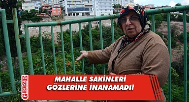 Meyve ağaçlarını acımadan kestiler!