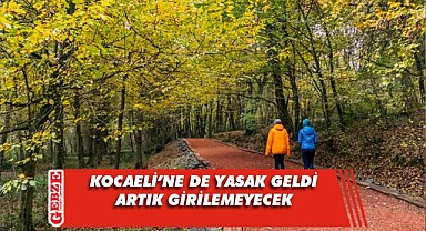 31 Ağustos’a kadar ormanlık alanlara giriş yasak