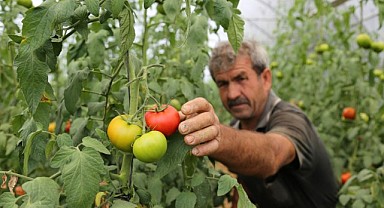 Büyükşehir’den üreticilere yüzde 50 hibeli sera desteği