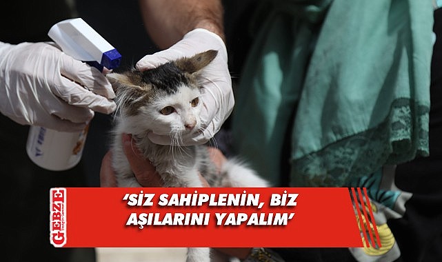 Çayırova'da canlı dostlarımız için anlamlı proje