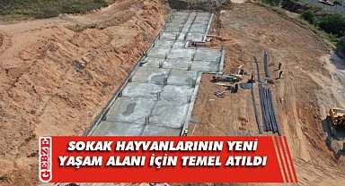 Çayırova'da canlı dostlarımız için rehabilitasyon merkezi