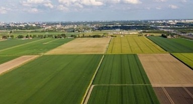 Darıca' da 1000 metrekare arsa mahkemeden satılık
