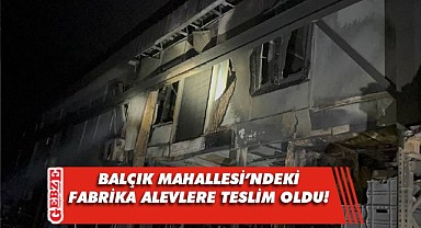 Gebze'deki fabrika alevlere teslim oldu
