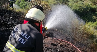 Kibritle oynayan çocuklar, ormanlık alanda yangın çıkardı!