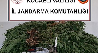 Kocaeli'de uyuşturucu operasyonu düzenlendi