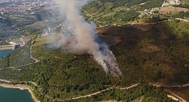 Kocaeli'nde çıkan orman yangını söndürüldü