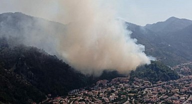 Marmaris'te orman yangını