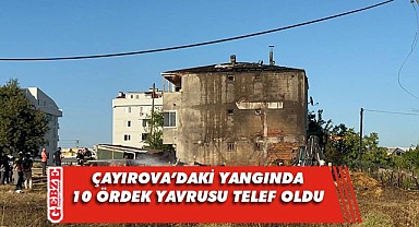 Samanlıkta çıkan yangın kümese sıçradı