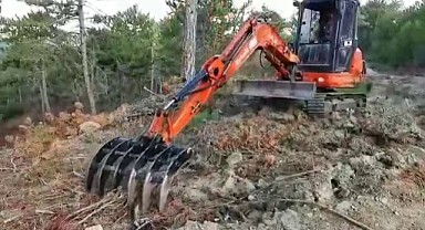 Tensil sahalarında ölü ve diri örtü temizlik hizmeti alınacak