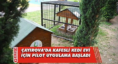 Çayırova'da kafesli kedi evi için pilot uygulama