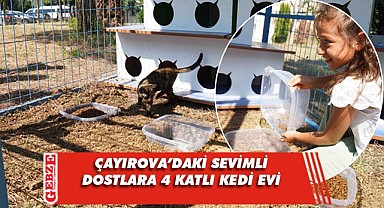 Çayırova'da sevimli dostlara büyük kedi evi