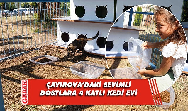 Çayırova�da sevimli dostlara büyük kedi evi GÜNDEM Gebze Yenigün