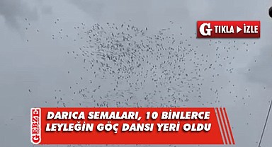 Darıca semalarında leyleklerin büyülü göç dansı