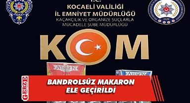 Depoda binlerce dal kıyılmış tütün yakalandı