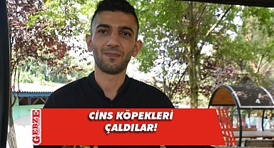 Dernekten geliyoruz deyip köpekleri çaldılar