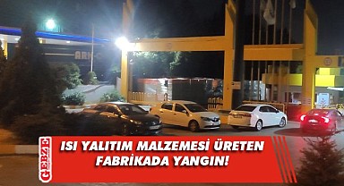 Dilovası'ndaki fabrikada çıkan yangın söndürüldü