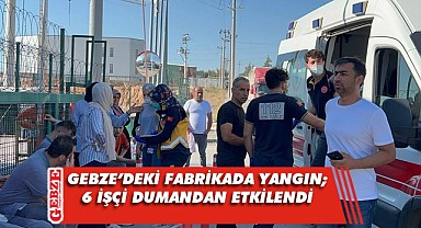 Gebze'deki gıda fabrikasında yangın çıktı