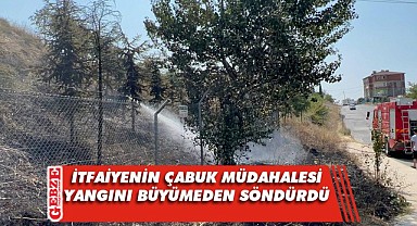 Gebze'deki orman yangını büyümeden söndürüldü
