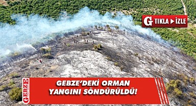 Gebze'deki orman yangını söndürüldü