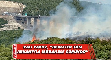 Gebze'deki orman yangınına müdahale sürüyor
