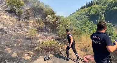 Kocaeli'deki orman yangını söndürüldü!