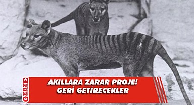 Nesli tükenmişti! Yeniden dünyaya kazandırılacak