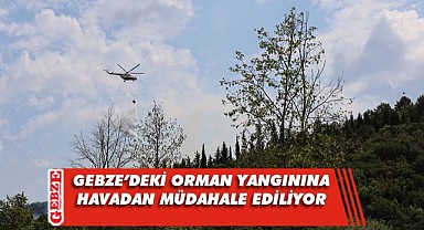 Ormanlık alana havadan müdahale başladı