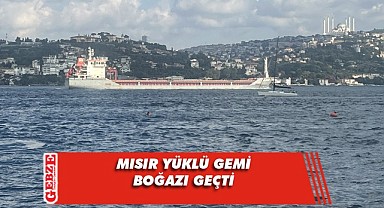 Polarnet İstanbul Boğazı'nı geçti