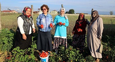 Ata tohumundan üretilen sebzelerin hasadı yapıldı