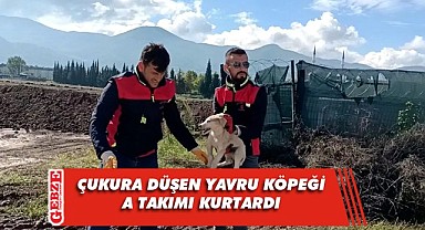 Çukura düşen yavru köpek kurtarıldı