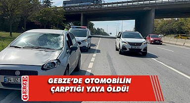 Gebze D-100'de feci kaza; 1 ölü!