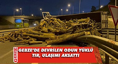 Gebze’de odun yüklü tır devrildi