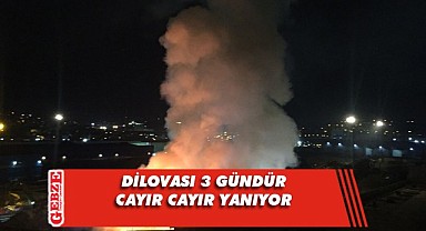 Hurdalık alanda çıkan yangın devam ediyor