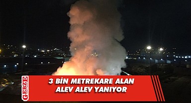 Hurdalık alanda çıkan yangın gece boyu devam etti