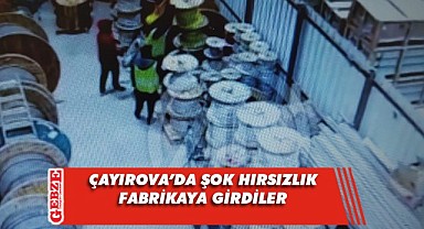 İşçi kılığına girip kabloları çaldılar