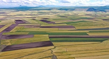 Kandıra'da 10 bin 378 metrekare tarla mahkemeden satılık
