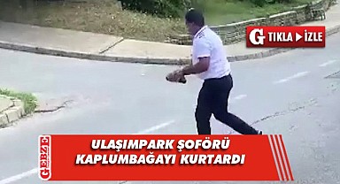 Kaplumbağanın ezilmemesi için yaptığı hareket takdir topladı