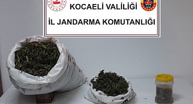 Kocaeli'de 3 kilo 700 gram esrar ele geçirildi