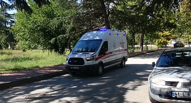 Kozalak toplamak için çıktığı ağaçtan düştü