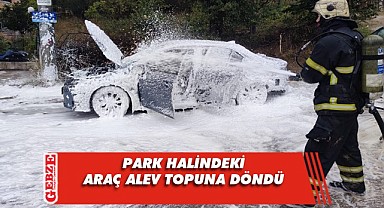 Park halindeki araç alevlere teslim etti