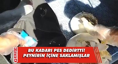 Peynire sarılı toz esrar ele geçirildi