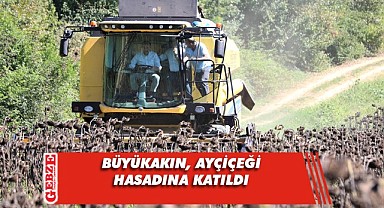 Tahir Büyükakın ayçiçeği hasadı yaptı