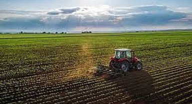 Başiskele'de 12 bin 250 metrekare tarla mahkemeden satılık