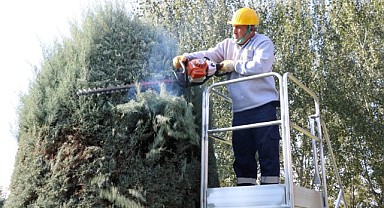  Büyükşehir’den ağaçlara estetik dokunuş