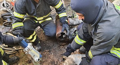 Demir boruya sıkışan köpeği itfaiye kurtardı