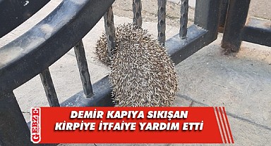 Demir kapıya sıkışan kirpiyi itfaiye kurtardı