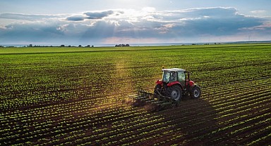 Derince'de bin 676 metrekare tarla mahkemeden satılık